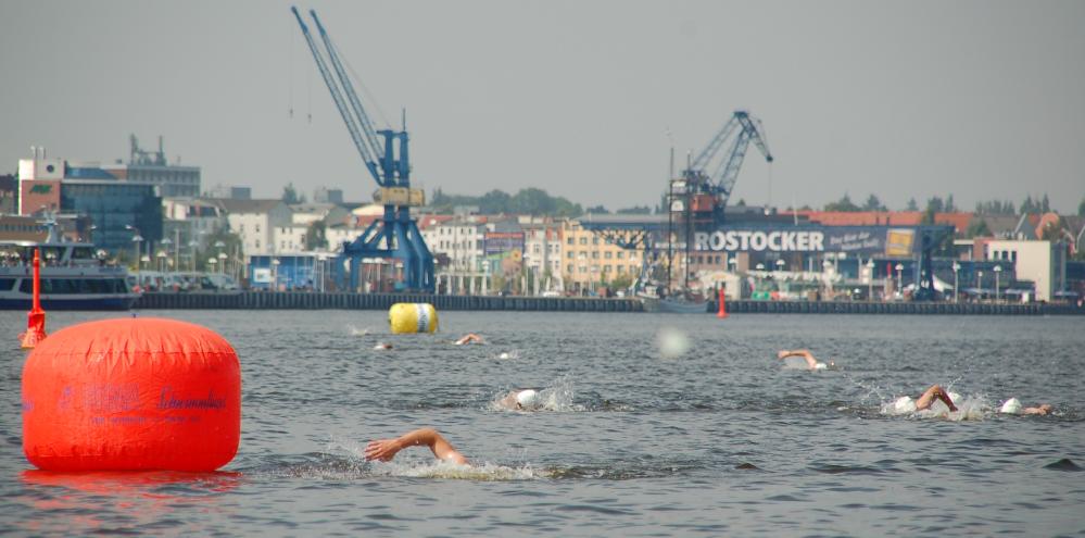 Warnowschwimmen 2013 in der Hansestadt Rostock