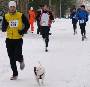 Winterbild aus Rostock und Umgebung